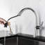 Belfry Kitchen Galilee Pull Out Kitchen Faucet