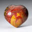 Petrified Wood Heart Cloche (0.88 Lbs)