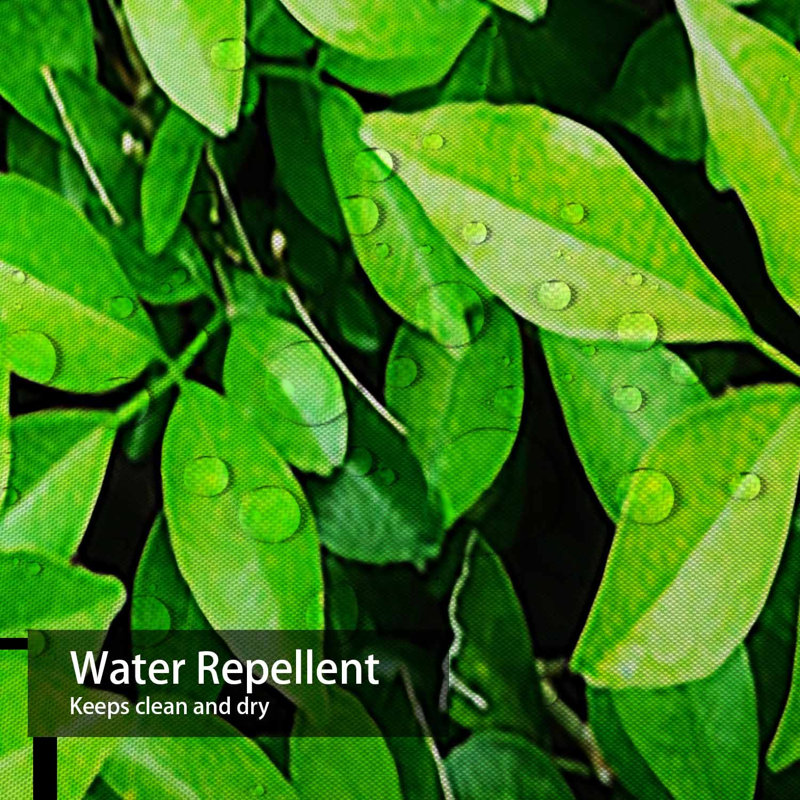 Rideau de douche Green Leaf, L 72 po x l 78 po