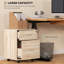 Danby 41cm Wide 2 -Drawer File Cabinet-421126752