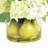 Hydrangeas Arranged in Glass Vase with Pears
