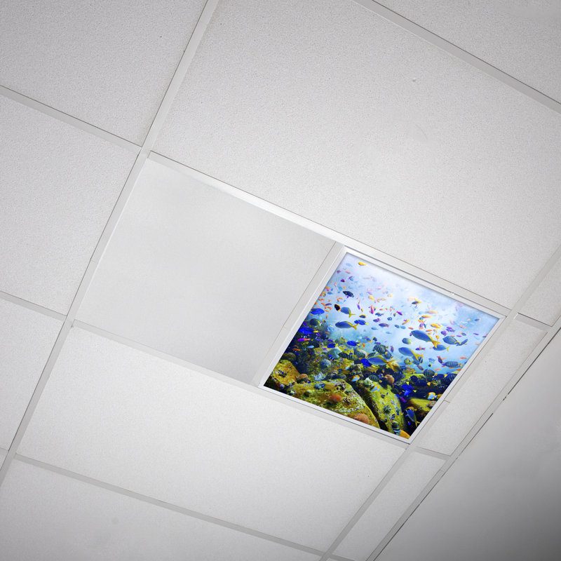 Couvre-lumière décoratif flexible océan