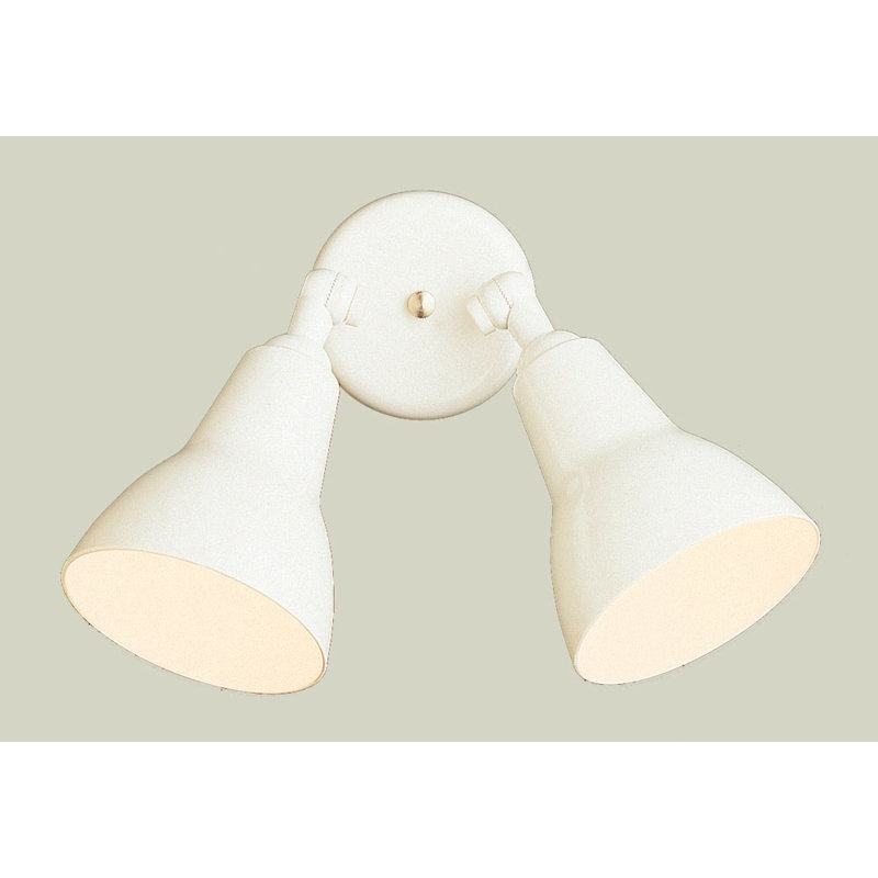 Applique murale d'extérieur à 2 ampoules H 6,5 po Robertson, Blanc