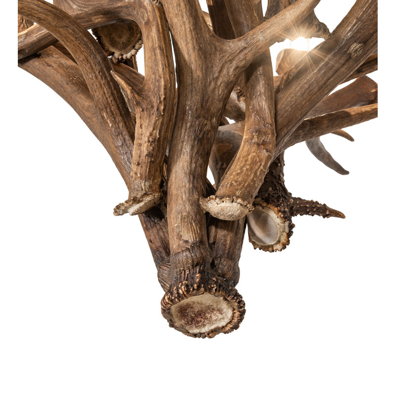 24" Wide Antlers Elk & Mule Deer 4 Light Chandelier
