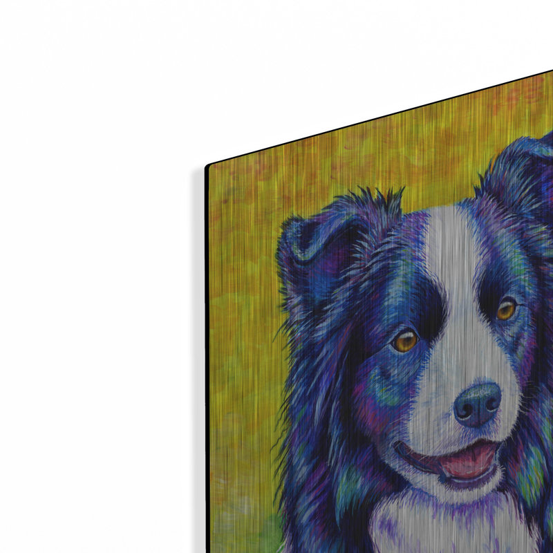 "Border Collie" par Rebecca Wang Art, H 24 po x l 16 po