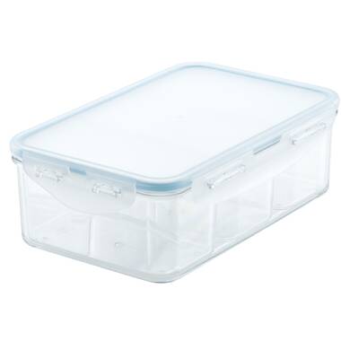  BIN BUDDY Clear Plastic Storage Box with Removable