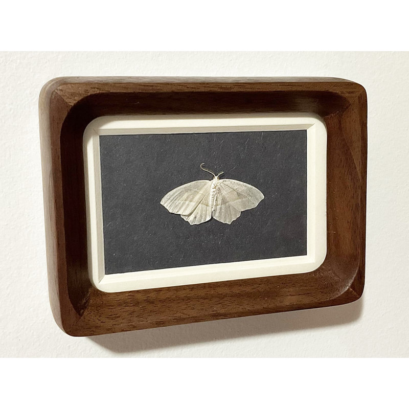Mini-cadre photo 2,5 x 3,5 en bois de noyer massif