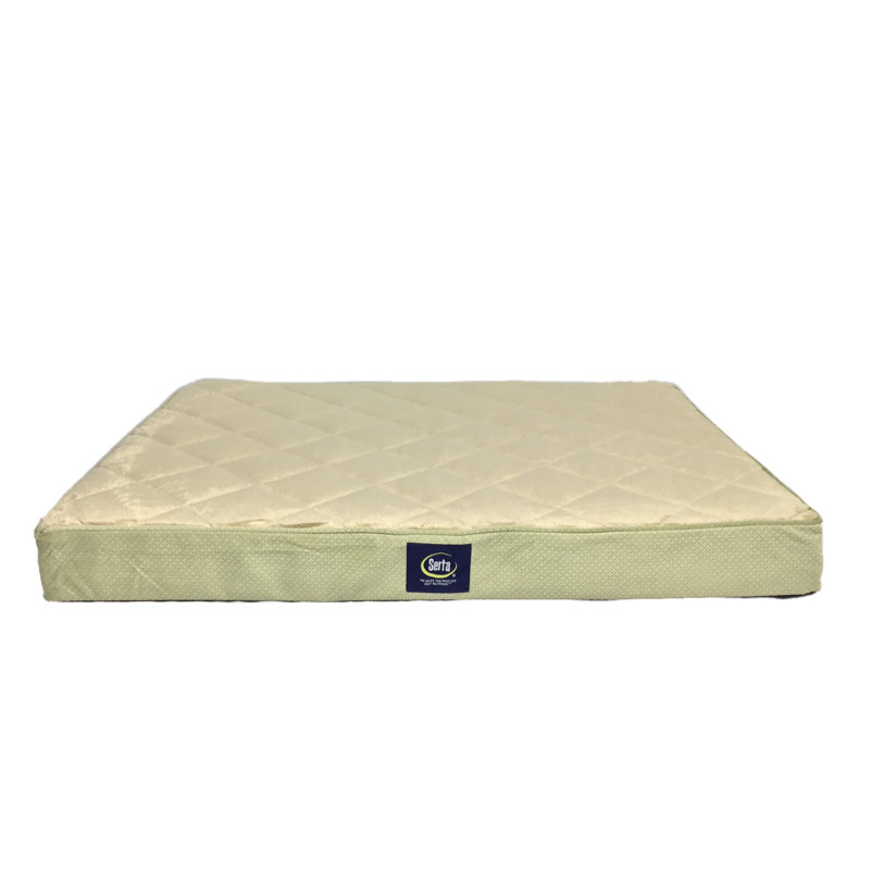 Serta Quilted Pillowtop Pet Bed, Large (36" W x 27" D x 3.5" H), Tan