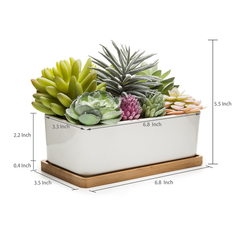 Ember 5.5'' Faux Succulent in Pot