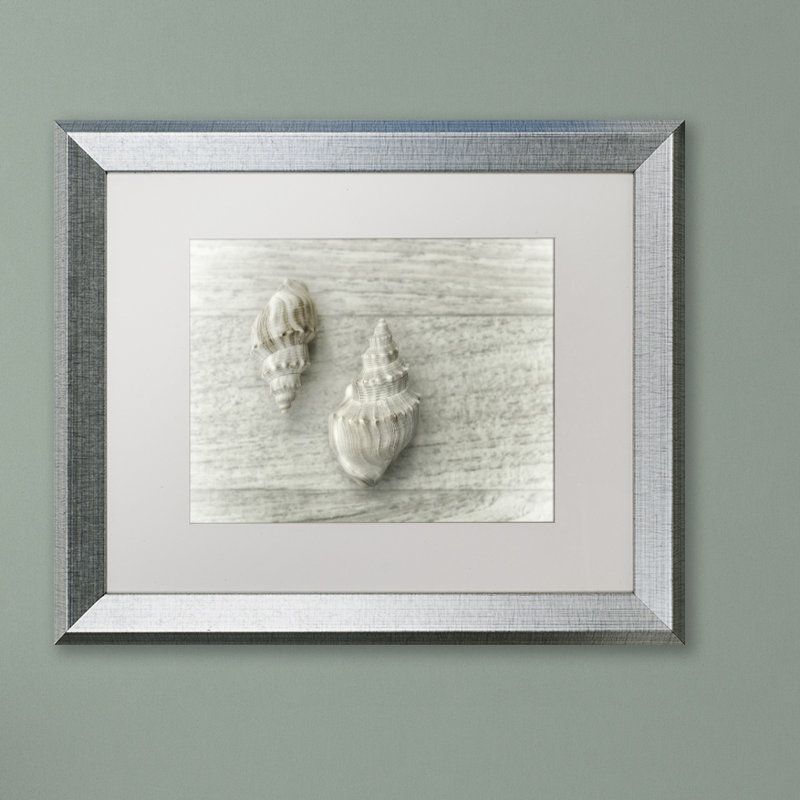 « two cancellara shells », reproduction de photo sur toile encadrée, H 11 po x l 14 po x P 0,5 po, argent