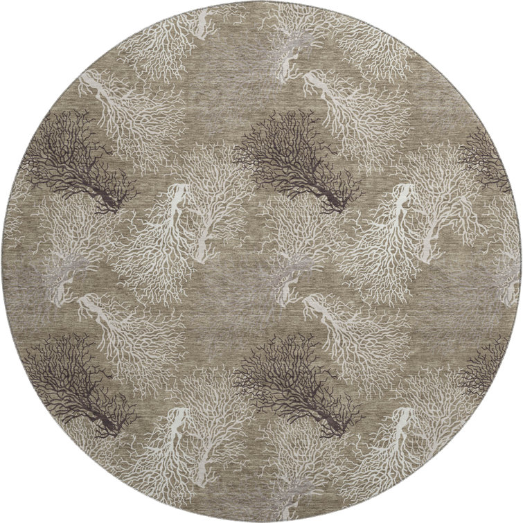 Cerrito Area Rug