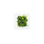 Nilda Metal Planter-1625015064