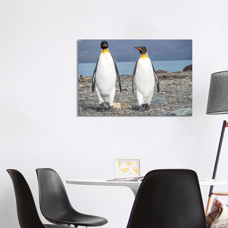 King Penguin Rookery In St. Andrews Bay. South Georgia Island by Martin Zwick - Wrapped Canvas Print