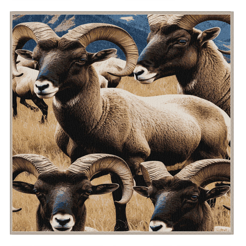  Tapis lavable Bighorn Sheep, Carré 5 pi