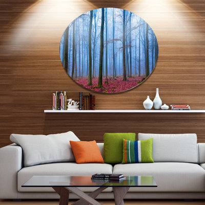 " Foggy Forest "