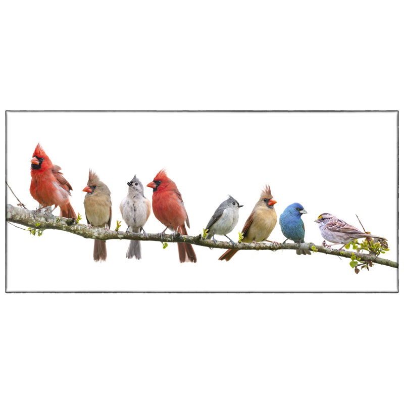 " Bird On A Branch 1 ", 16" H x 24" W x 1.5" D