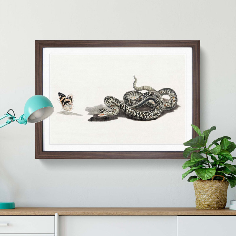 Snake & Butterfly by Johan Teyler - Picture Frame Painting Print, 27cm H x 36cm W x 2cm D, Walnut Framed