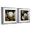 Cotton Balls I - Cadre photo-1492861062-1492861061-1492861060