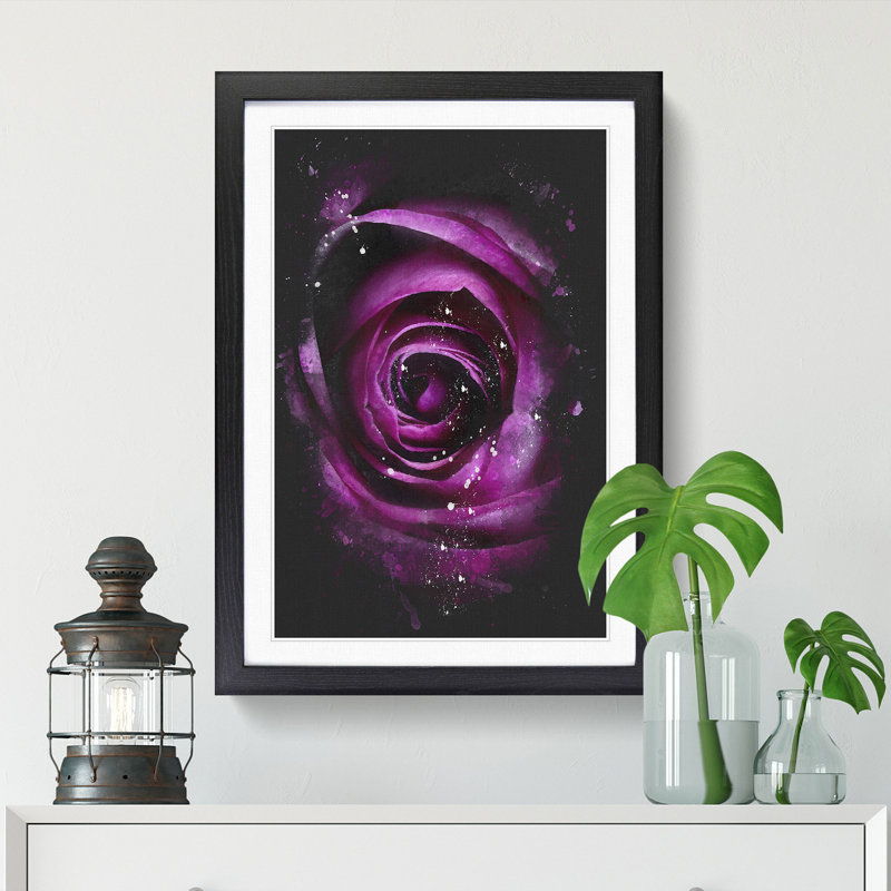 Striking Purple Rose - Framed Print, Black Framed, 45cm H x 33cm W x 2cm D