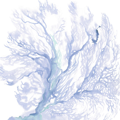 " Navy Sea Fan II " by Jennifer Paxton Parker Painting Print