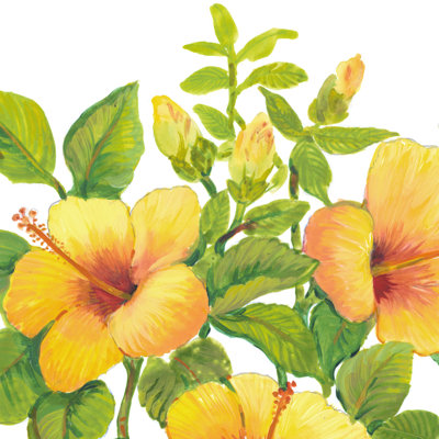 Aquarelle d'hibiscus I
