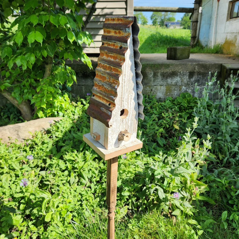 Maison d'oiseaux Chippy White Large Church Wren