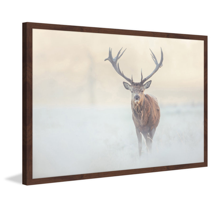 Mayle «The Lone Buck», reproduction d'art encadrée, H 20 po x l 30 po x P 1,5 po