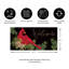 Cardinal And Evergreen Sassafras Mat