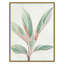 Ginger Plant I - reproduction d'art-55542037-55542038
