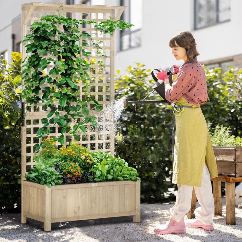 Brexten Wood Elevated Planter