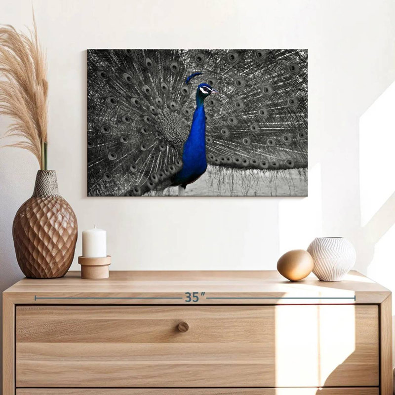 Brampt Peacock Pop, 16" H x 24" W