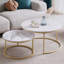 Nirvelli Frame Coffee Table-1070493816
