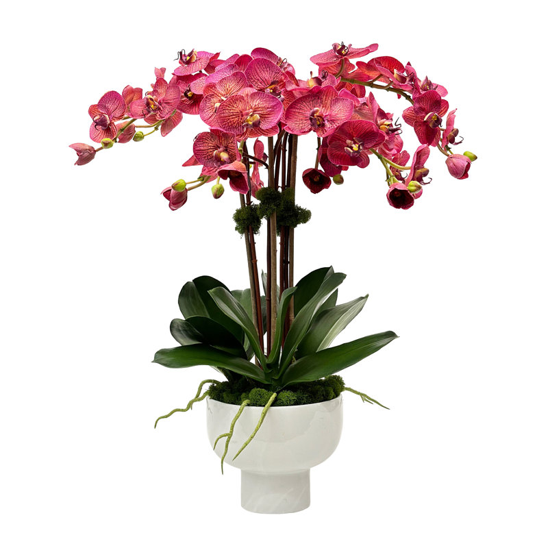 ORCHID IN BOWL WITH STAND