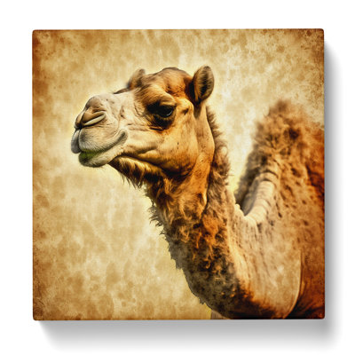 Camel Grunge Art - No Frame Print