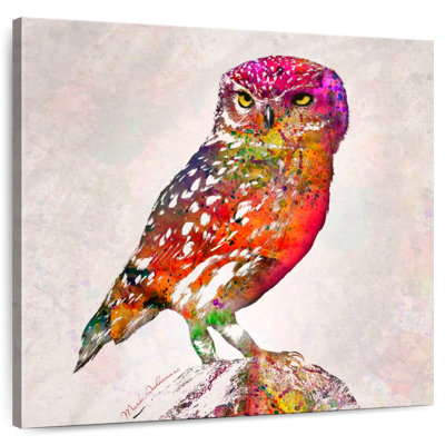 Crowle Colourful Owl
