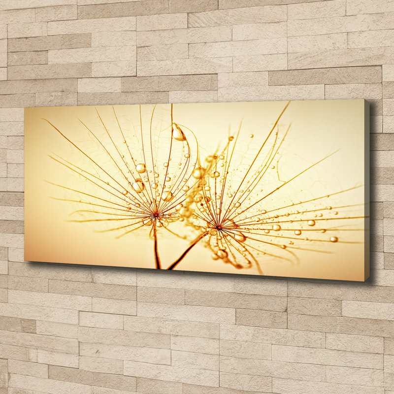 Dandelion Seeds - Wrapped Canvas Print