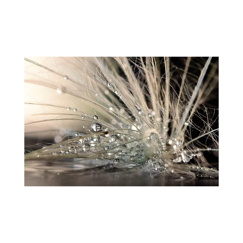 Pearls 1 Piece Wrapped Canvas Wall Art, 20.32 cm H x 30.48 cm W