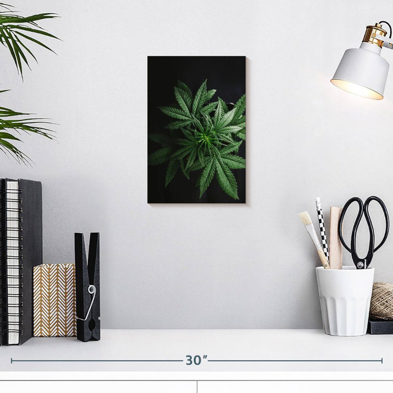 Feuilles de marihuana, H 12 po x l 8 po