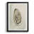 Soft Half Shell II " Soft Half Shell II "-1680148394-1680148391