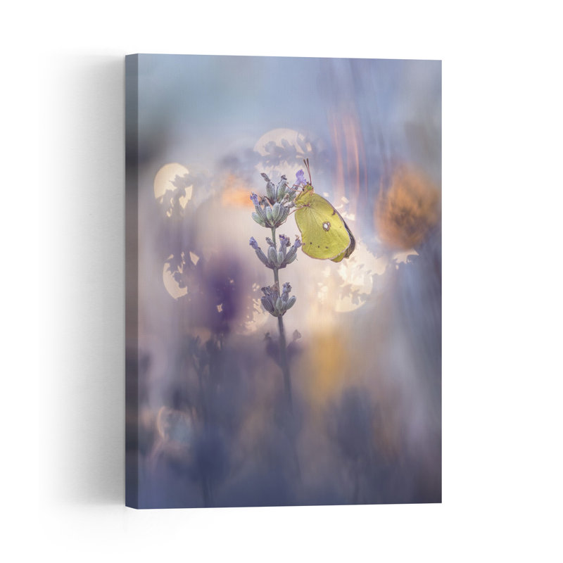 Yellow Butterfly Lavender Dream Delicate Dreamy Ethereal Butterfly Lavender Violet Flower Nature Wall Art Print 1 Piece Wrapped Canvas Wall Art