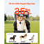 Poussette pour chien pliable pour animaux 4 roues transportable et amovible jusqu'à 35 lb