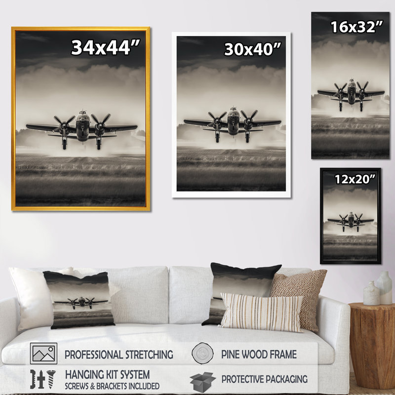 Neavins gris et atterrissage en avion - art mural avion, H 44 po x l 34 po x P 1,5 po, Cadre flottant noir