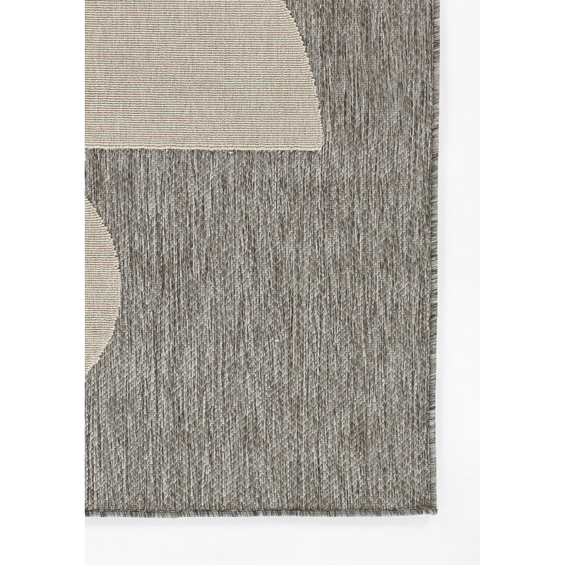 Tapis intérieur / extérieur gris Aseelah Vines, Tapis de couloir 2 pi 7 po x 7 pi 6 po