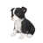 White & Black is out of stock selected