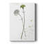 Fleur botanique III - peinture sur toile tendue-30822512