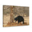 Wall Art on Canvas-895502096