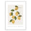 Amalfi Lemons - cadre photo, impression-66318799-66318827