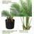 84'' Faux Fir Tree in Pot
