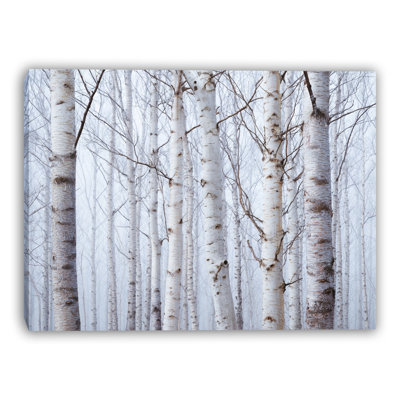 Foggy Morning Birch Forest Wrapped Canvas Wall Art
