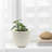 Acushnet Round Planter, Outdoor Planter with Drainage Hole-1398424973-1398425011